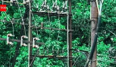 Leopard, peacock deaths spark call for transformer safety cover | Hubballi News