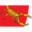 SAS Team Logo