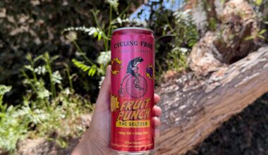 This THC Fruit Punch Seltzer is like Alcohol-Free Jungle Juice (That Gets You High)