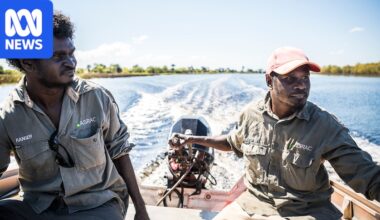 Indigenous rangers appeal for more bird flu funding to protect biodiversity, human health