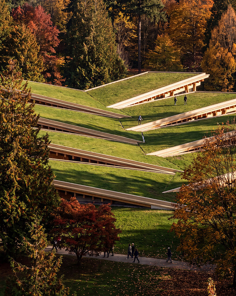 luca fontana proposes walkable mass timber factory