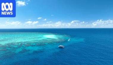 Farming changes linked to improved water quality across Great Barrier Reef catchments