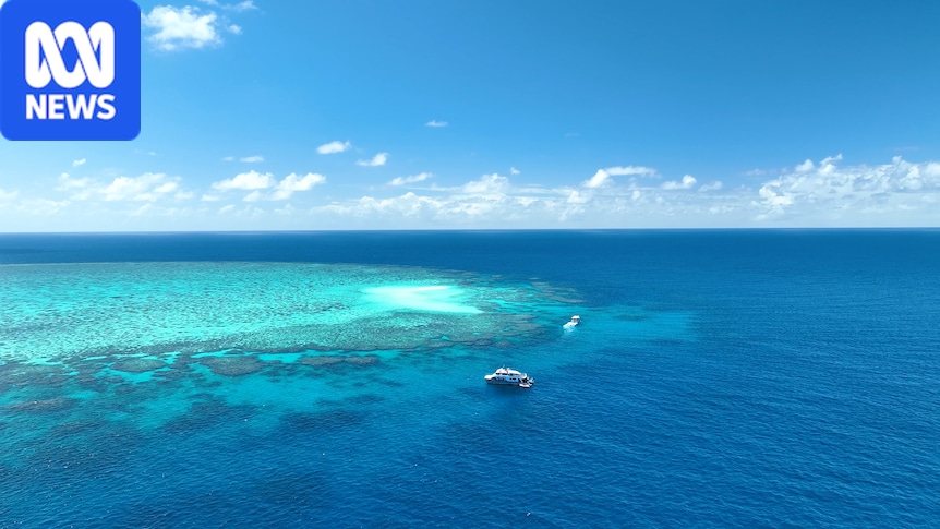 Farming changes linked to improved water quality across Great Barrier Reef catchments