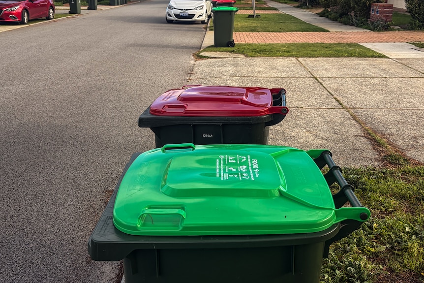 Red-lidded and green-lidded wheely bins on street.