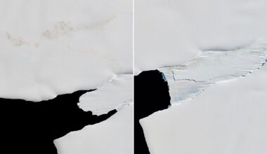 A Changing World for Emperor Penguins
