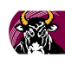QUE Team Logo
