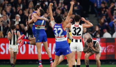 The AFL’s wildcard finals delivered everything the AFL wanted, but is the experiment good for the game?