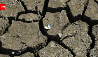 England’s water network buckles under sudden summer drought