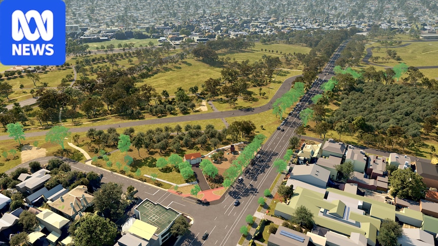 SA Premier defends MotoGP tree removals with almost 400 now slated for chop