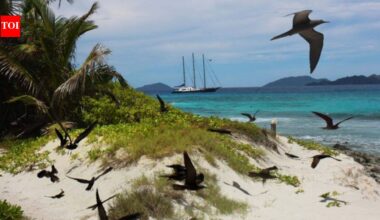 In 1973, Christopher Cadbury funded the £40,000 purchase of a Seychelles island stripped for coconuts and seabird eggs; today over 1 million seabirds breed there each year