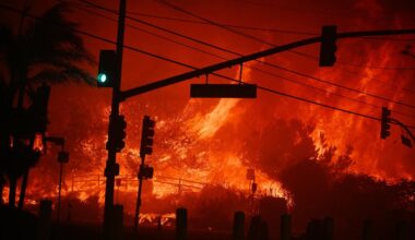 Wildfires Have Left The Forest And Moved Into The City
