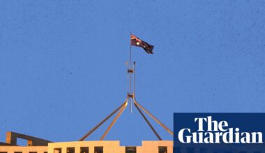 ‘Scary’: how misinformation and AI hallucinations are infiltrating Australia’s parliament | Australian politics