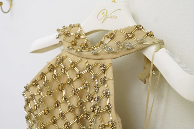 Ally Langdon’s dress