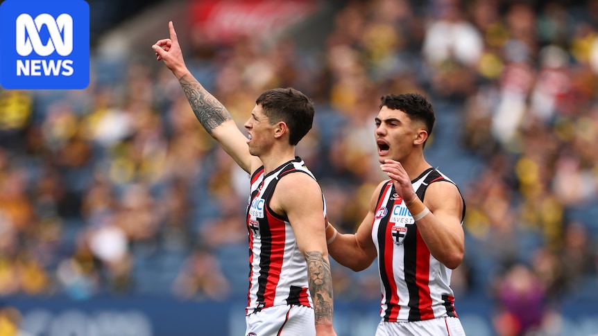 AFL Rd 23 live updates: Richmond vs St Kilda, North Melbourne vs Geelong, Brisbane vs Gold Coast, Hawthorn vs Collingwood, Port Adelaide vs Melbourne — blog, scores and stats
