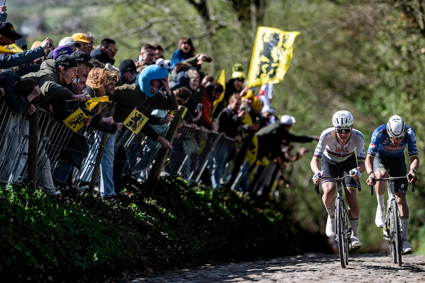 Tadej Pogačar rides with Mathieu van der Poel.