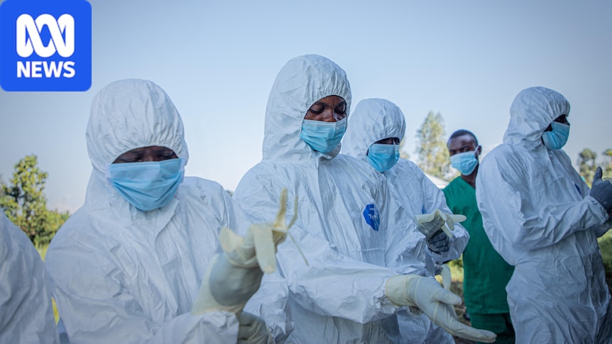 The DRC's Ebola virus outbreak is likely to become the worst in history, the WHO says. Here's why