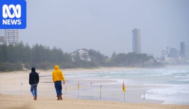 Gusty winds and short storms for South-East Queensland ahead of Ekka public holiday