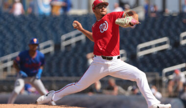 Nationals Promote Luis Perales - MLB Trade Rumors