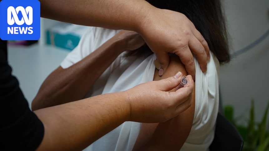 More than 500 diphtheria cases recorded, but experts warn real numbers likely higher