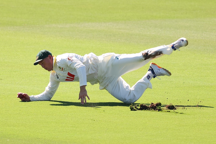 Marnus Labuschagne rips up turf with his knee