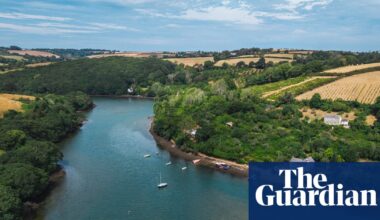 ‘Small changes can make a big difference’: how getting farmers, fishers and beavers together could save a Cornish river | Oceans