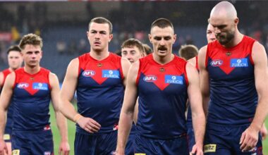 LIVE BLOG: All the latest news for Saturday's action in round 24