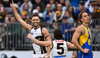 Hawthorn Hawks stroll past West Coast Eagles to lock in top-four finish and date with Fremantle Dockers