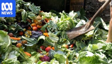 Canberra food and garden organics collection scheme expansion delayed for third time