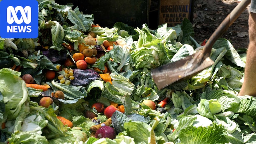 Canberra food and garden organics collection scheme expansion delayed for third time