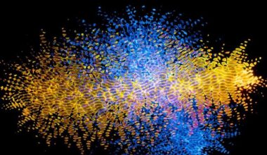 Big Bang experiment on Earth confirms existence of primordial matter