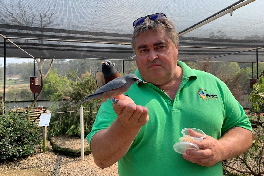 Birds perch on the hand of a man with short, grey hair as he stands in an aviary.