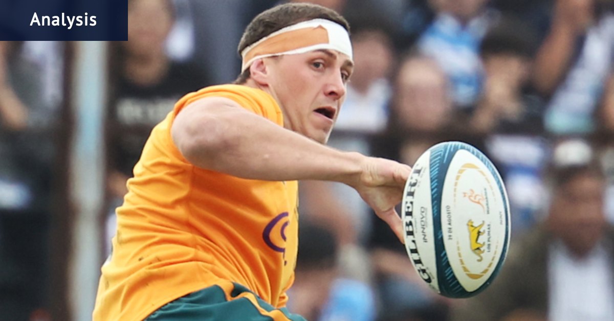 Wallabies vs Argentina: Australia showed great signs against the Pumas. Josh Canham and Max Jorgensen were world-class
