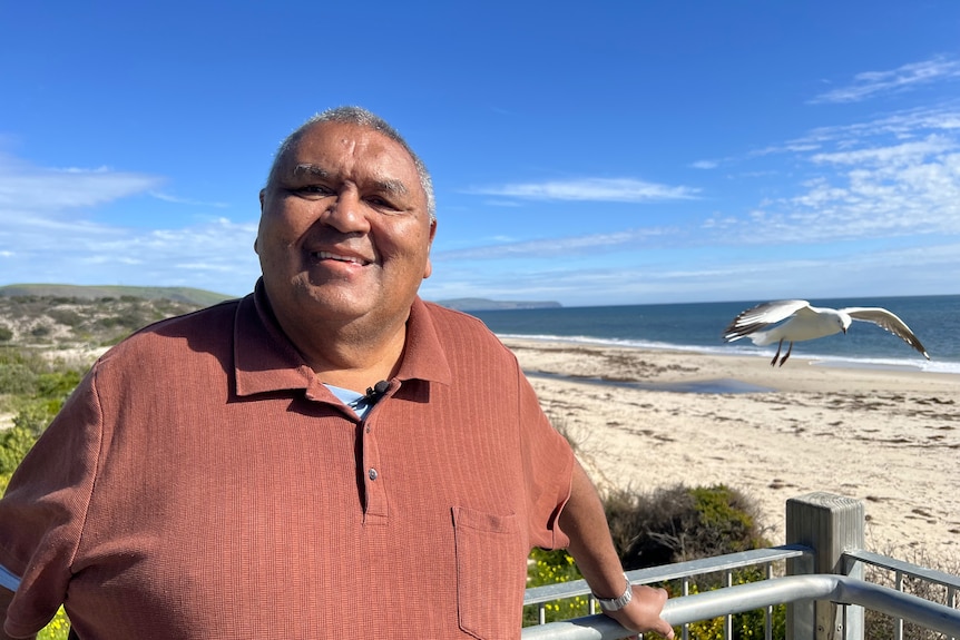 A man stands overlooking a beach with a silver gull hovering next to him.