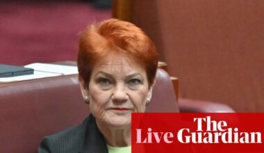 Hanson tells star One Nation candidate to stop speaking Japanese – as it happened | Australia news