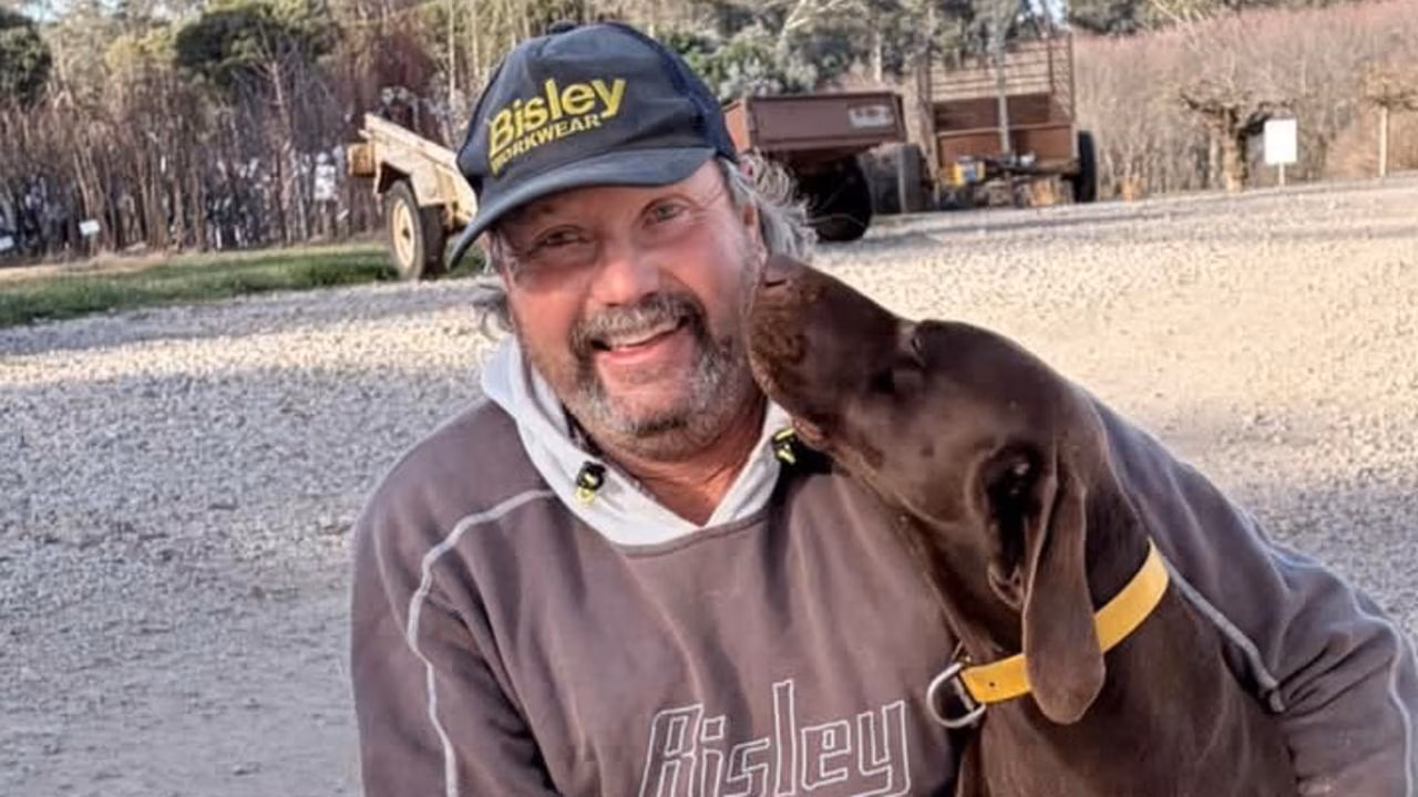 Beechworth farmer Tom Powell offers $20,000 reward after dog shot at nursery