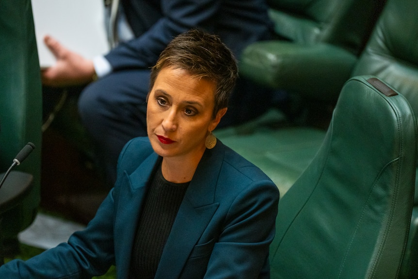 Deputy leader Gabrielle Williams has short brown hair and wears a blazer during Question Time