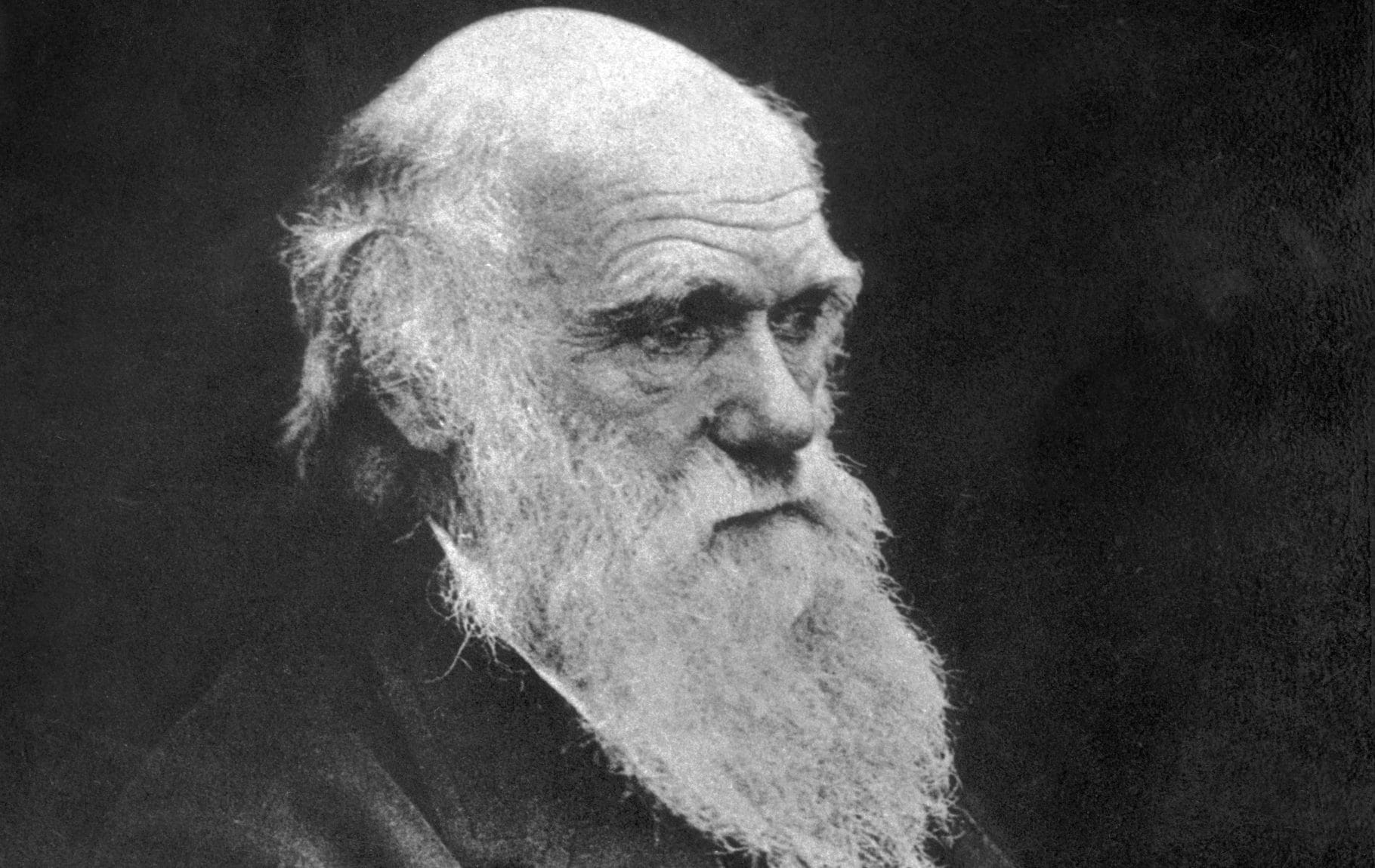 Darwin's theory was built around natural selection