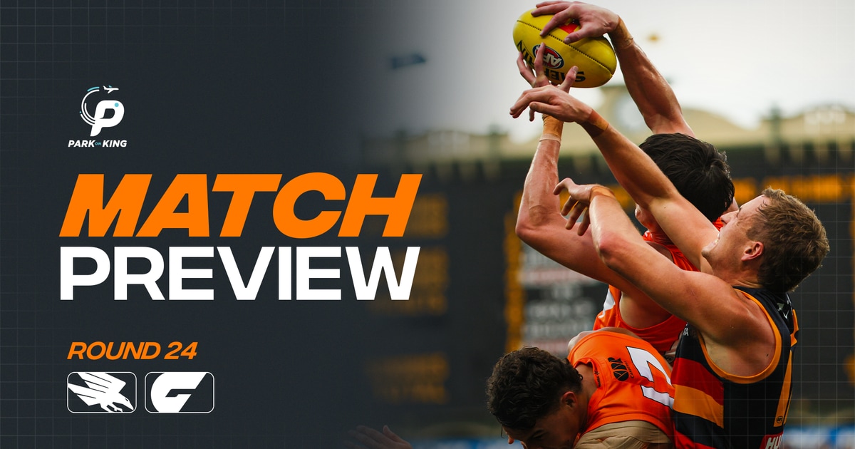 AFL Match Preview: Round 24 v Crows