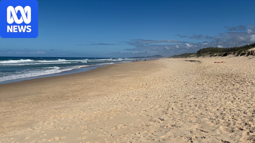 Bird found on Castaways Beach is Queensland's second case of H5 avian flu