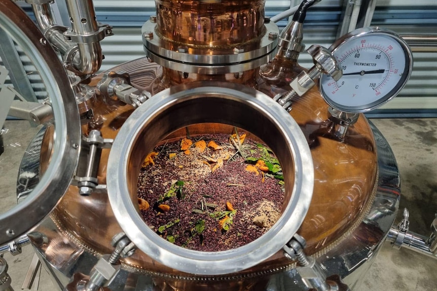 Herbs, plants and grains in bowl of bronze still with pipes and thermometer