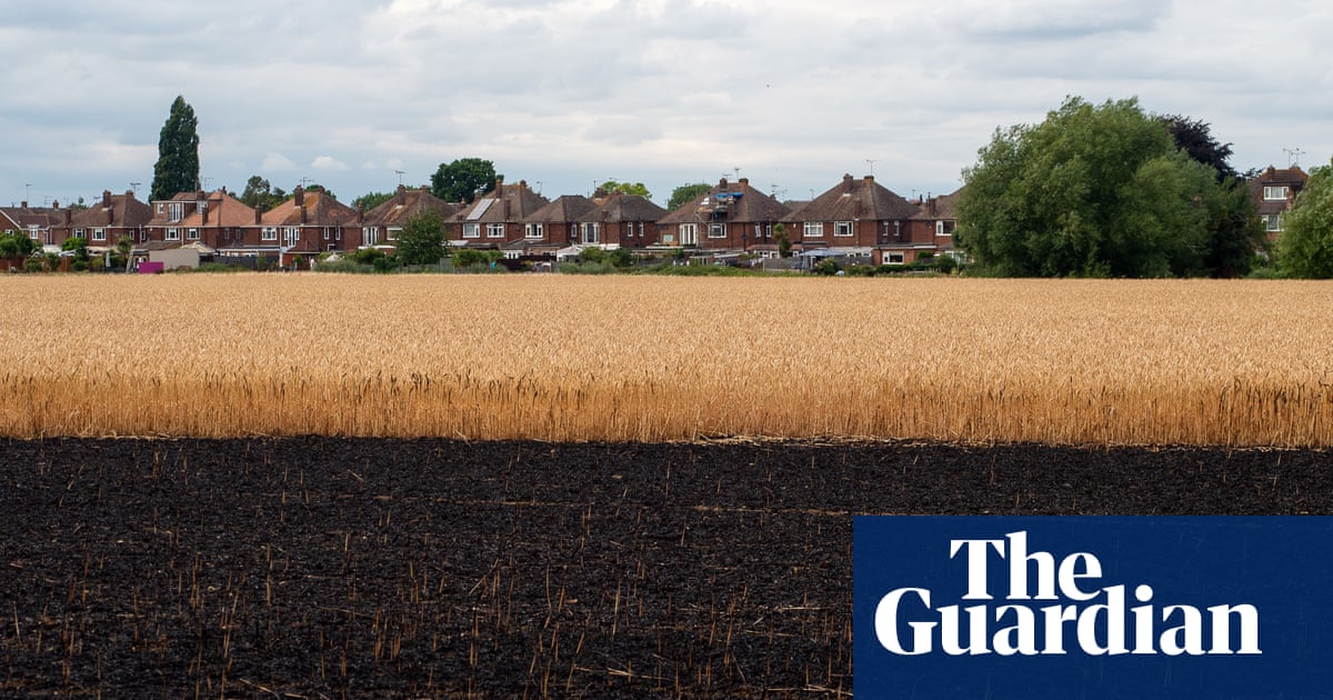 From grey water to cool spaces: 10 climate crisis policies Britain needs right now | Environment policy