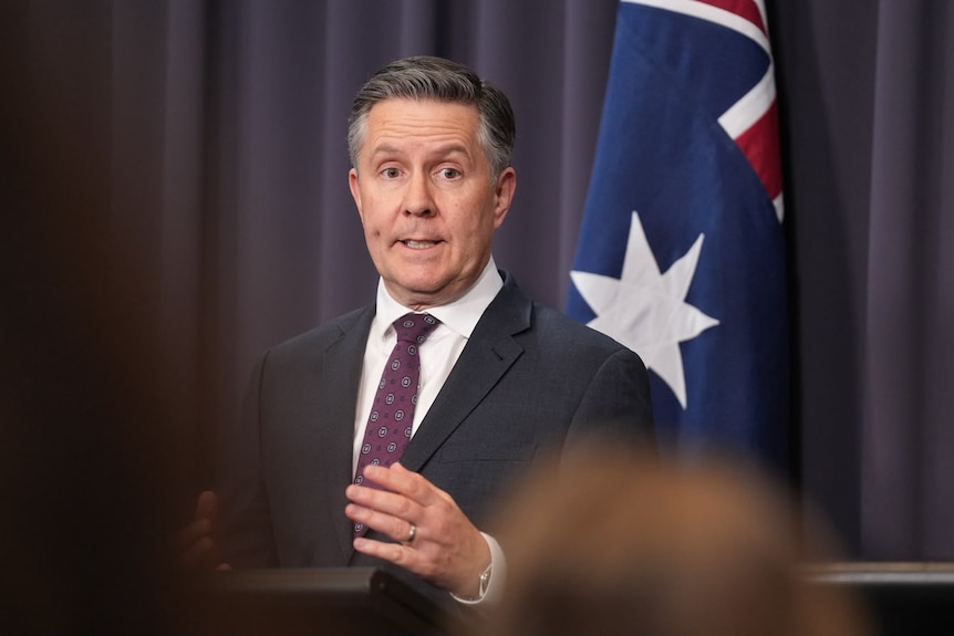 middle aged white man with greying hair speaks in front of blue curtain and the australian flag, he wears a blue suit purple tie