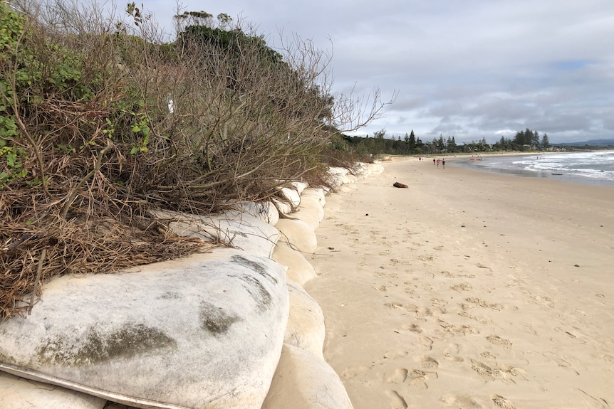 Beach with sand bags in the foreground with vegetation growing behind them.