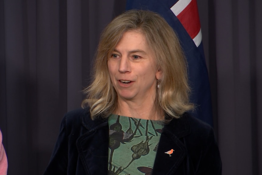 A woman in a green shirt standing in front of a flag at a press conference.