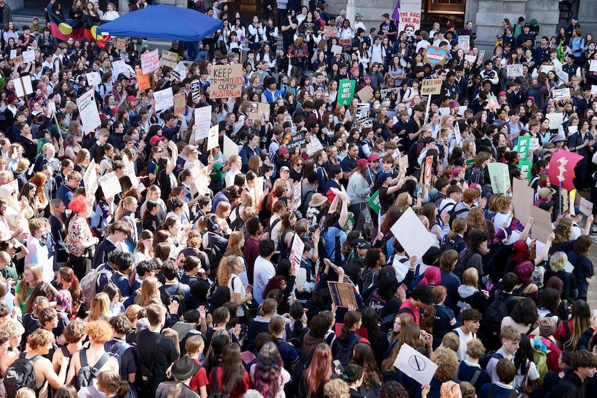A sea of students holding signs