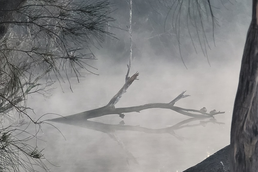 Morning fog over the Canning River.