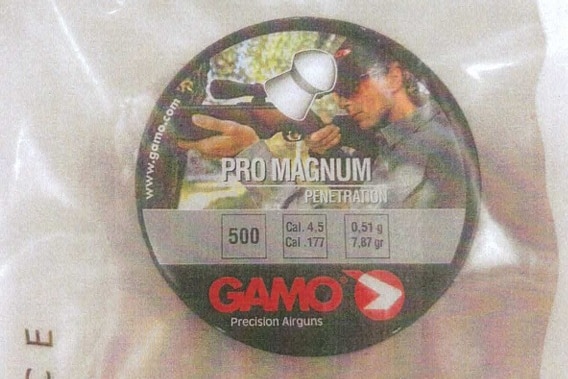 A container of air rifle pellets in a clear zip lock bag.