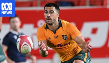 Wallabies encouraged to play with freedom after defeating Japan in Osaka