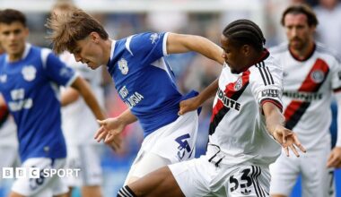 Cardiff City 2-2 Sheffield United: Bluebirds and Blades remain winless but unbeaten