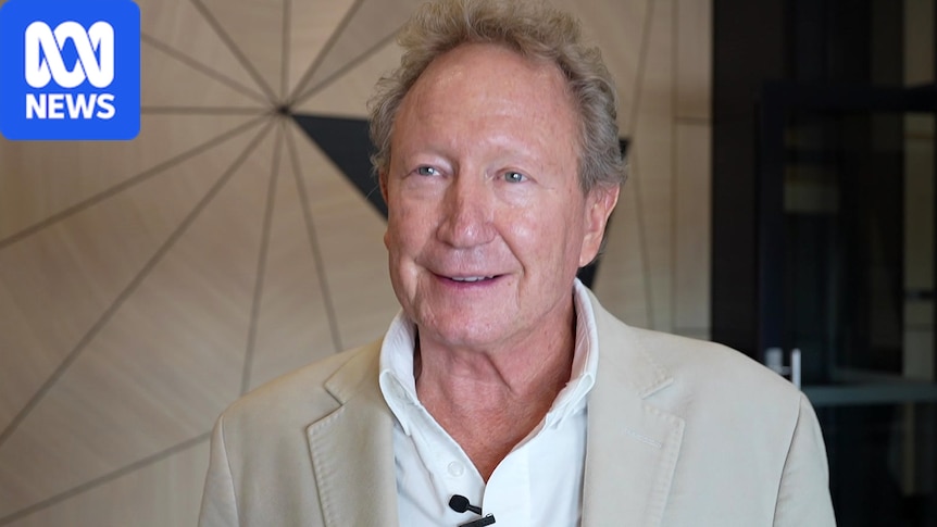US court rules Meta failed to preserve key evidence in Andrew Forrest legal dispute